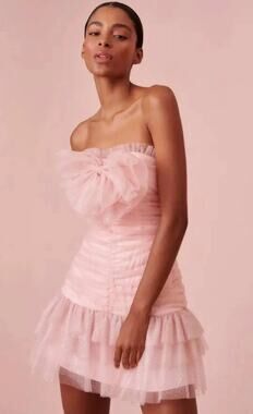 NWT LoveShackFancy Lolisa Mini Dress Pink Sparkle Tulle Strapless Size 4